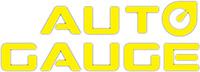 Auto Gauge Auto Gauge